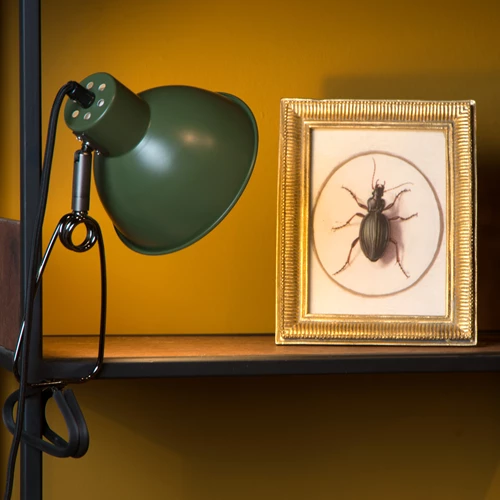 Lucide MOYS - Klemlamp - 1xE27 - Groen - sfeer 1